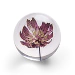 In Flore Blume Pappersvikt Lila