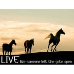 Wee Blue Coo Horses Live Like Someone Left The Gate Open Quote Typography Art Print Poster Wall Decor 12X16 Inch