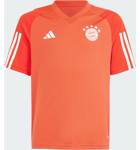 Adidas Adidas Fc Bayern Tiro 23 Träningströja Barn Fanikauppa jalkapallo RED / BRIGHT RED / WHITE