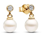 Pandora Timeless two-stone drop 14k gold-plated pärlörhängen 263153C01