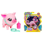 Little Live Pets - My Pet Pig | Soft and Jiggly Interactive Toy Pig That Walks & - Nova The Bright Light Chameleon