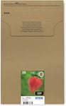 Epson 29 Strawberry Genuine Multipack, Eco-Friendly Packaging, 4-colours Ink Car