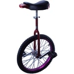 L&WB Monocycle Violet Monocycle pour Enfants (Âgés De 9 À 17 Ans), 16/18 Pouces De Vélo De Vélo De Roue Adolescent, Adultes / 20/24 Pouces Balance Cycling, Remplacement des Spas,16 inch