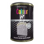 Paint Factory Quick Drying Black Iron Gate Gloss Paint 300ml