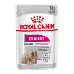 Royal Canin Exigent Mousse - 48 x 85 g