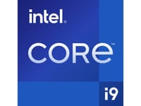 Intel® Core™ i9-12900K Processor (30M Cache, up to 5.20 GHz) 