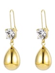 Bud To Rose Drop Crystal Hook Earring Guld