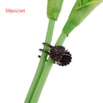 50pcs Plastic Plant Support Clips Orchid Stem Clip For Vine Supp Onesize