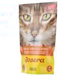 Ekonomipack: Josera Soup 32 x 70 g - Kyckling med morot & spenat