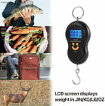 Digital Scales Luggage Hanging Hook Electronic Carp Weighing Scales 50kg UK
