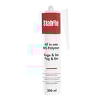 Fog/lim ms polymer all in one vit 300 ml stabile