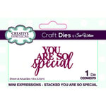 Sue Wilson - Mini Expressions - Stacked You are So Special - Craft Die