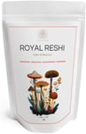 Reishi Gold (Ganoderma Lucidum) Organic Pure Reishi Mushroom Powder Serving: 2 G