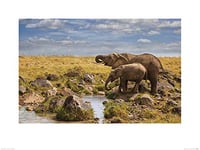 Art Group The Mario Moreno (Elephants of Maasai Mara) -Art Print 60 x 80cm, Paper, Multicoloured, 60 x 80 x 1.3 cm
