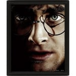 PCmerch Harry Potter vs Voldemort - 3D poster med ram
