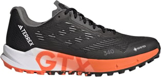 Trailsko adidas TERREX AGRAVIC FLOW 2 GTX hr1110 Størrelse 42,7 EU