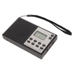 HRD-212 DSP Digital FM Radio Supports MP3 Playback FM DSP Portable Small Multi
