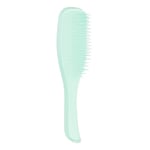 Tangle Teezer | La brosse à cheveux démêlante humide fine et fragile pour cheveux humides et secs | Cheveux colorés, fins et fragiles | Jade Lagoon