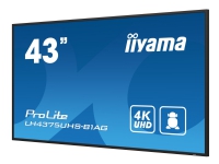 iiyama ProLite LH4375UHS-B1AG - 43 Diagonal klass (42.5 visbar) LED-bakgrundsbelyst LCD-skärm - digital skyltning - med built-in media player, SDM Slot PC - Android - 4K UHD (2160p) 3840 x 2160 - black bezel with matte finish