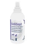 AntiSept Klorhexidin Spray 100 ml