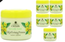 Cyclax Night Cream Nature Pure Oil Of Evening Primrose 300ml x 6