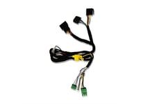 Eton ACCM2 2-kanals P&P ISO-kabel for MICRO120.2
