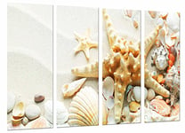Tableau Moderne Photographique, Impression sur bois, Sédiments de sable, Étoile de mer, Conch Shells, Bath, 131 x 62 cm, ref. 27086