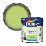 Dulux Walls & Ceilings Matt Emulsion Paint, Kiwi Crush, 2.5 Litres
