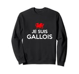 Je Suis Gallois I Am Welsh French Rugby Tour Wales Fans Sweatshirt