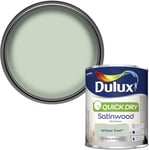Dulux Quick Dry Satinwood Paint For Wood And Metal - Willow Tree 750Ml