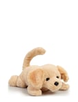 Happy Pets Happy Pets Roll Over Puppy Multi/patterned