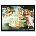 Old Master Art The Birth of Venus Botticelli Painting Sea Shell Goddess Love Beauty Symbol Art Print Framed Poster Wall Decor 12x16 inch