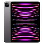Apple iPad Pro 11" Puce Apple M2 256 Go Gris Sidéral Wi-Fi 4ème génération Fin 2022 Reconditionné