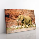 Big Box Art Elephant Vol.6 Painting Canvas Wall Art Print Ready to Hang Picture, 76 x 50 cm (30 x 20 Inch), Brown, Yellow, Cream