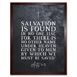Acts 4:12 Salvation is Found In No One Else Christian Bible Verse Quote Scripture Typography Art Print Framed Poster Wall Decor 12x16 inch