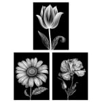 Set of 3 Elegant Single Tulip Daisy Rose Spring Flowers Black and White Floral Impact Artworks Unframed Wall Art Living Room Poster Prints Pack