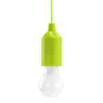 HyCell Pull Light avec tirette, incl. piles AAA (1 pce) – Lampe LED portative de couleur verte – Lampe mobile pour jardin, remise, camping, grenier, armoire ou décoration de fête