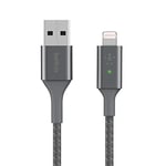 Belkin Smart LED Charging Cable USB to Lightning 4ft/1.2m (See Your Charging Status at a Glance) For iPhone, AirPods and iPad, MFi-Certified - Gray