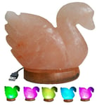 New Himalayan Swan Shaped Salt Lamp Pink Crystal USB Colour Changing Night Light