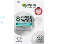 Garnier - Pure Active - 22 St