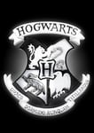 Light Lamp Atmosphere 23cm Logo Patch Hogwarts Harry Potter Original GROOVY