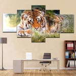 RuYun The tiger lying in grass bright eyes animal 5 Panel HD Print wall posters Canvas Art Painting For home living room decoration 20x35 20x45 20x55cm no frame