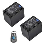 amsahr® ValuePack Lot de 2 Batteries de Rechange pour Appareil Photo et caméscope Panasonic VW-VBT380, HC-V Series, HC-V110, HC-V130, HC-V160, HC-V180 avec étui pour Objectif