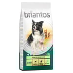 10 % rabatt! 12/14 kg Briantos torrfoder - Senior Fjäderfä & ris (14 kg)