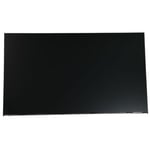 HP SPS-PANEL 23,8 FHD VA W/BL CBL,CARMB24