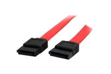 StarTech.com 36in SATA Serial ATA Cable - SATA cable - Serial ATA 150 - SATA (F) to SATA (F) - 3 ft - red - SATA36 - SATA-kabel - 0.9 m