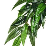 Exoterra - RUCUS M Plastväxt