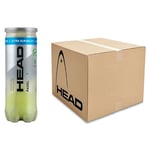 Head Padel Pro Extra Durability - Låda (24 rör)