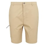 Regatta Men's Dalry Multi Pocket Shorts, Oat, 36W