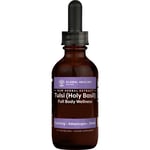 Global Healing Tulsi / Helig Basilika